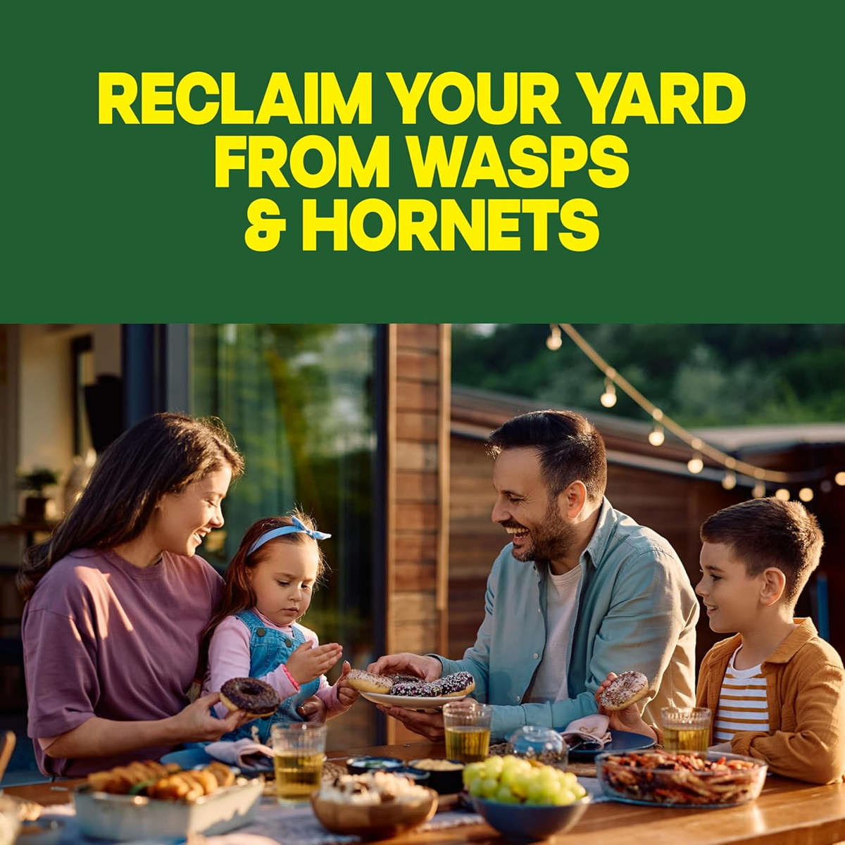 Raid Wasp & Hornet Killer Spray, Kills the Entire Nest, For Paper Wasps, Yellow