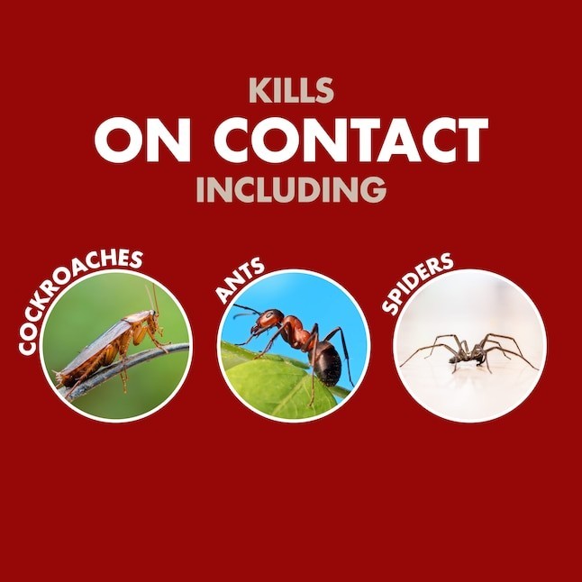 Spectracide Bug Stop Home Barrier 1.0 -Gallon Ready to use Insect killer