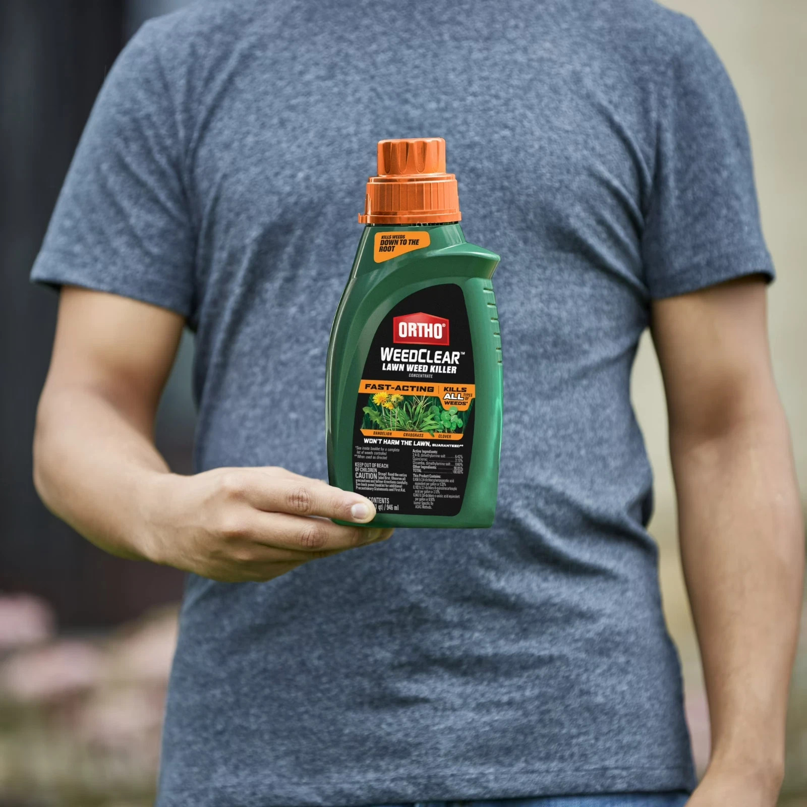 Ortho WeedClear Lawn Weed Killer Concentrate, Kills Crabgrass and Dandelion, 32