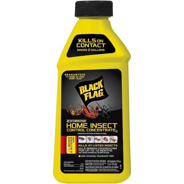 BLACK FLAG EXTREME Home Insect Control 16 -fl oz Concentrate Insect killer