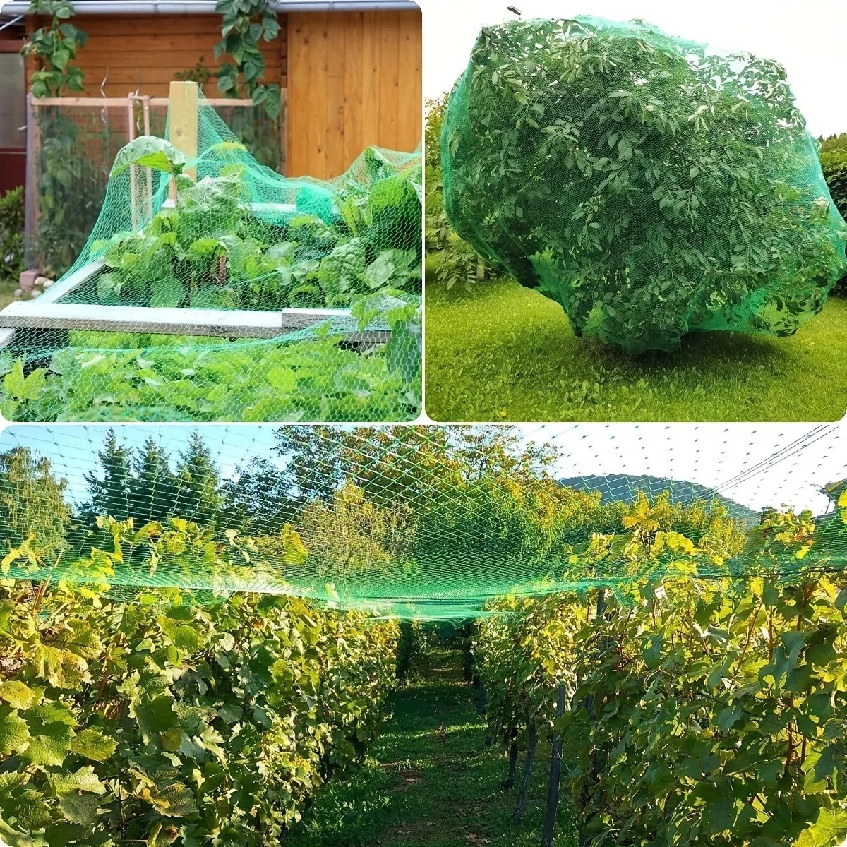 1PCS Garden Netting Bird Protection Trellis Grid Pest Fencing Net for Vegetables