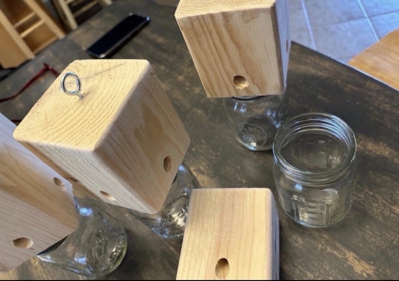 SET OF 4 Carpenter Bee Traps Hand Made SOFT PINE Boring Bee FAST SHIPPING!