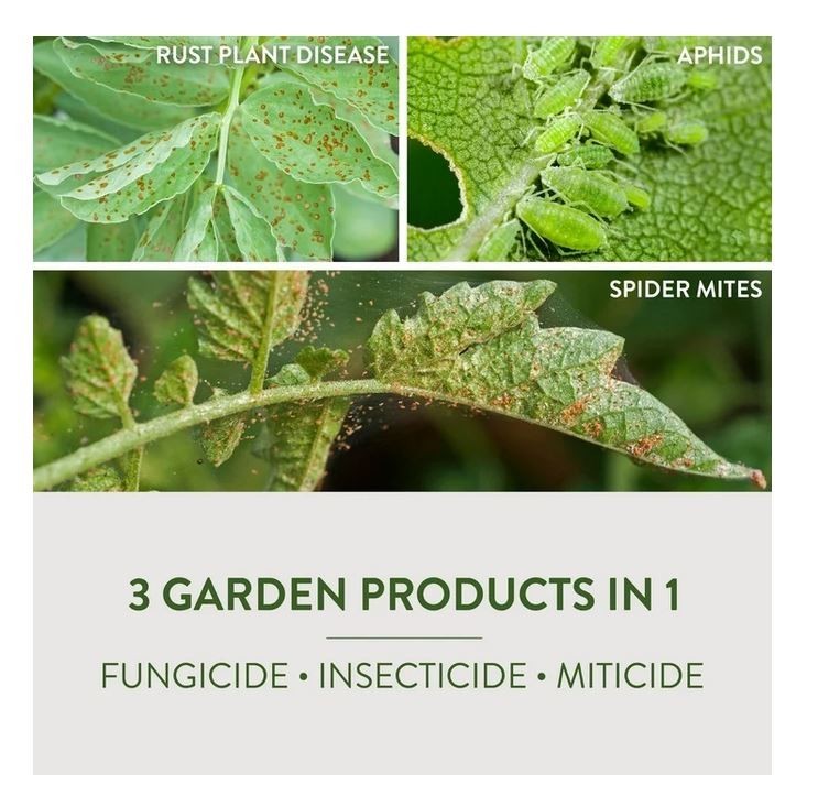 Garden Safe Fungicide3 Multi-Purpose Garden Insect Killer, 32-Ounce