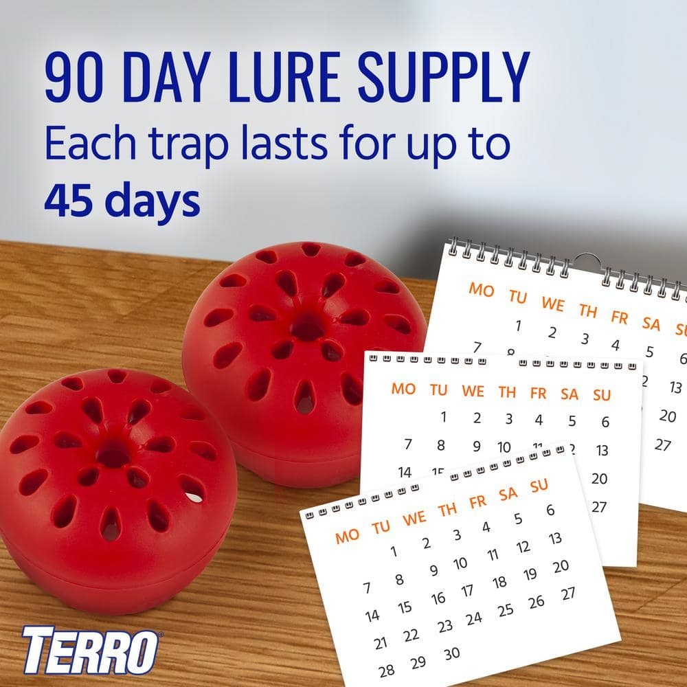 Indoor Fruit Fly Trap (4-Count)