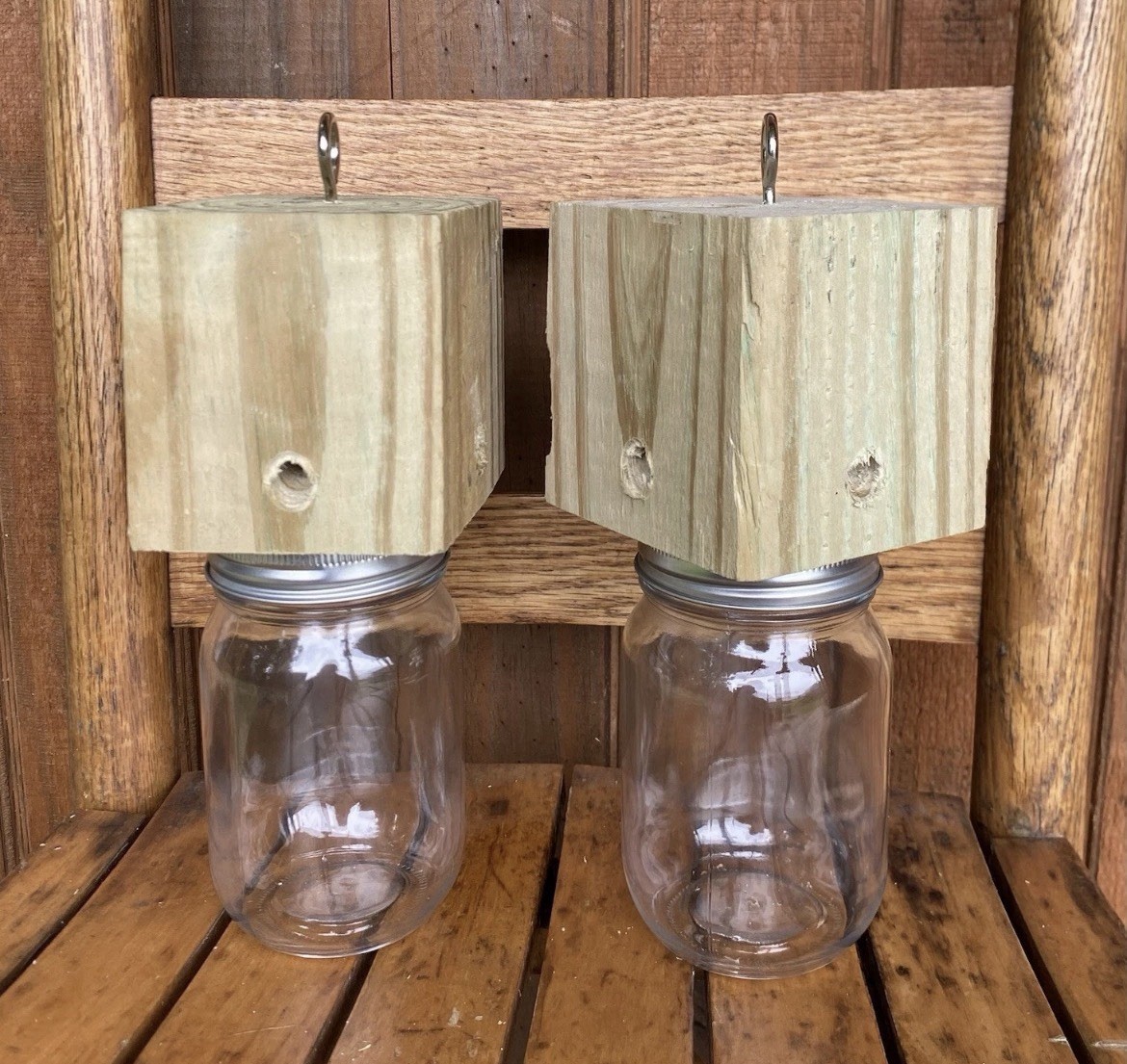 carpenter bee trap Shipped Free!