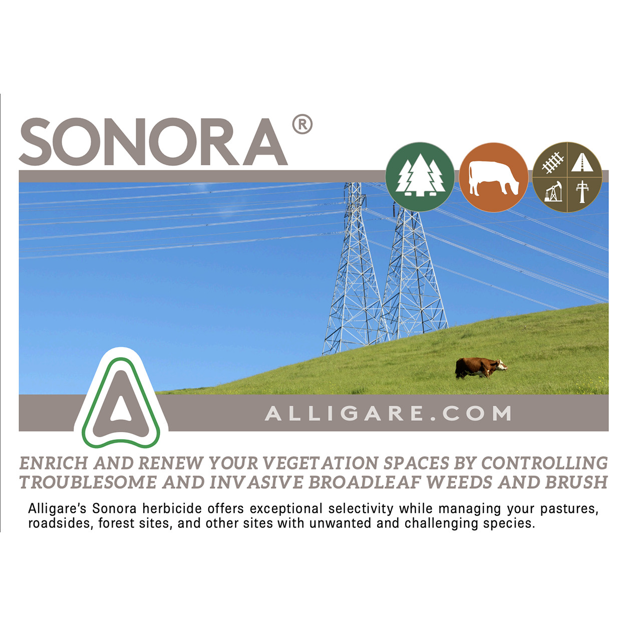 Sonora Herbicide for Woody Weeds and Brush 128 fl oz by Alligare