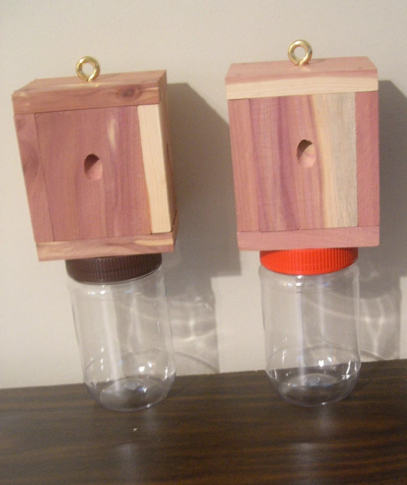 2 Carpenter Bee Trap- Easy Catch- Easy Disposal-NO CHEMICALS – ECO SAFE