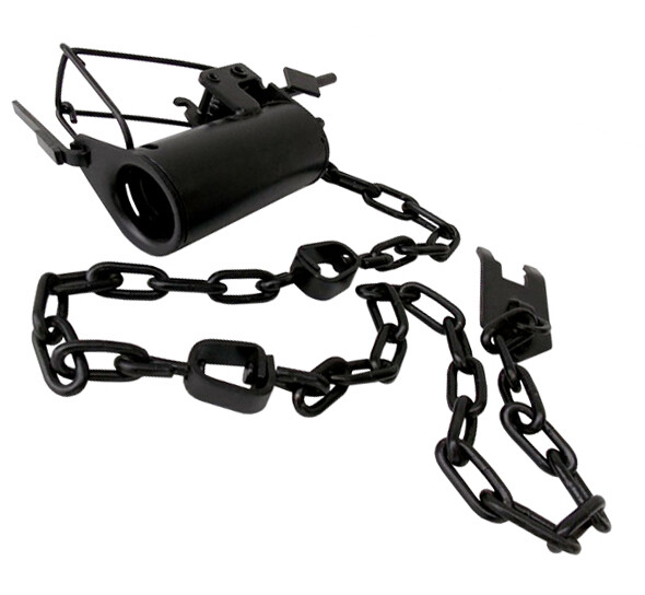 NO-BS Dog Proof Raccoon Trap – Coon Trapping – Coated DPs with Stake & Chain