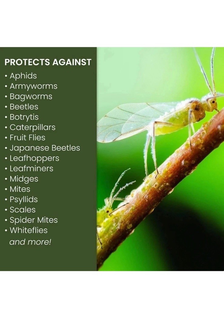 Natria 706250A Neem Oil Spray for Plants Pest Organic Disease Control, 24-Ounce.