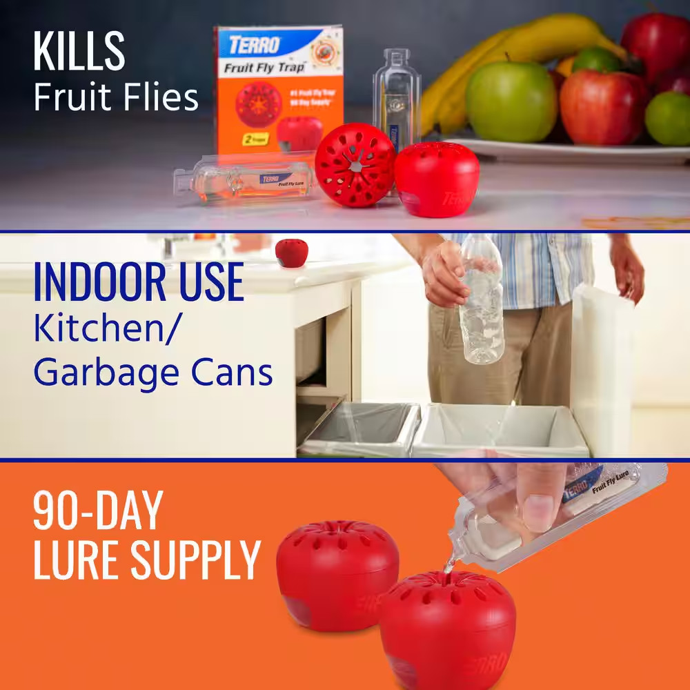 Indoor Fruit Fly Trap, (2-count) , Terro Traps, In Built With Window Sinks…