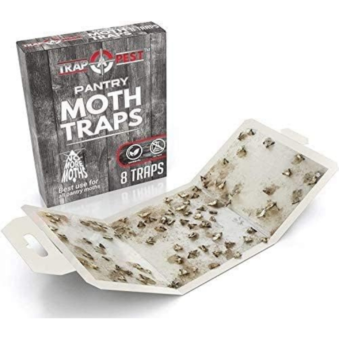 Pantry Moth Traps Safe Glue with PheromonesP 8 Pack Effective Adhesive Non Toxic