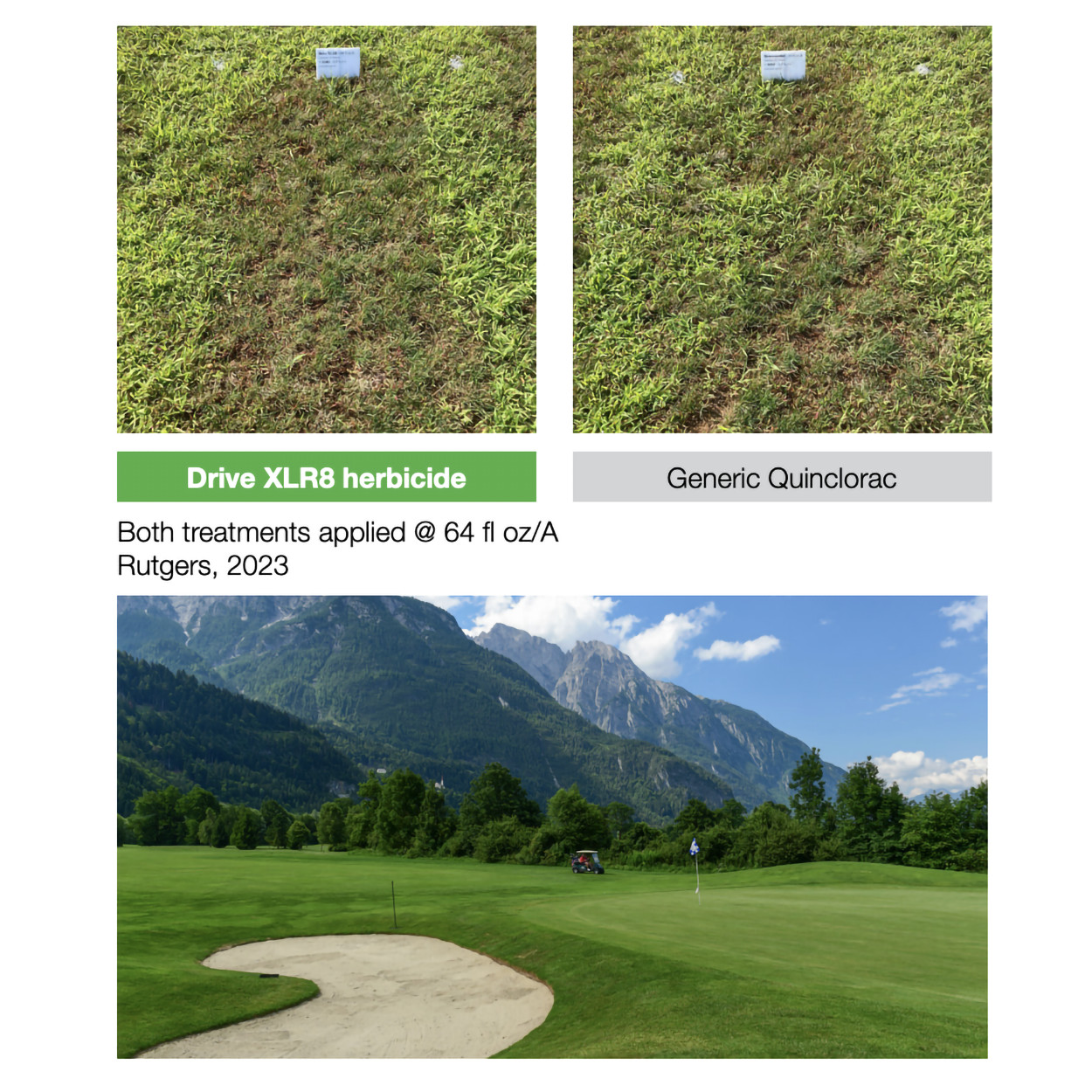 Drive XLR8 Post-Emergence Herbicide – 64 fl oz by BASF