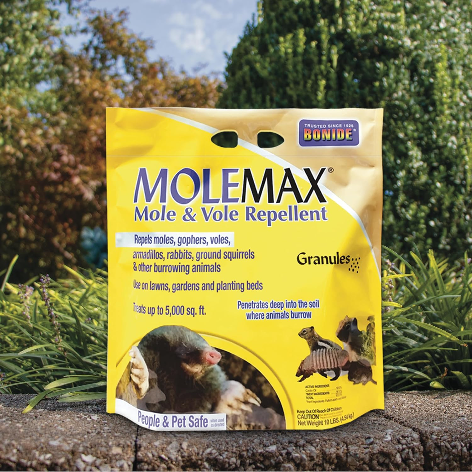 MOLEMAX Mole & Vole Repellent Granules, 10 Lbs. Ready-To-Use, Outdoor Lawn & Gar