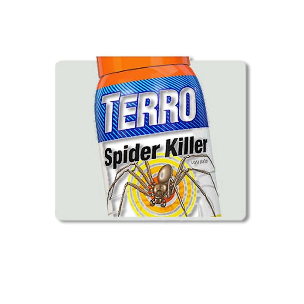 TERRO Spider Killer Aerosol Spray 16 oz T2302-6