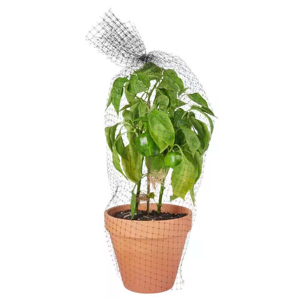 14 Ft. X 14 Ft. Polypropylene Bird Block Netting Barrier, UV Protected