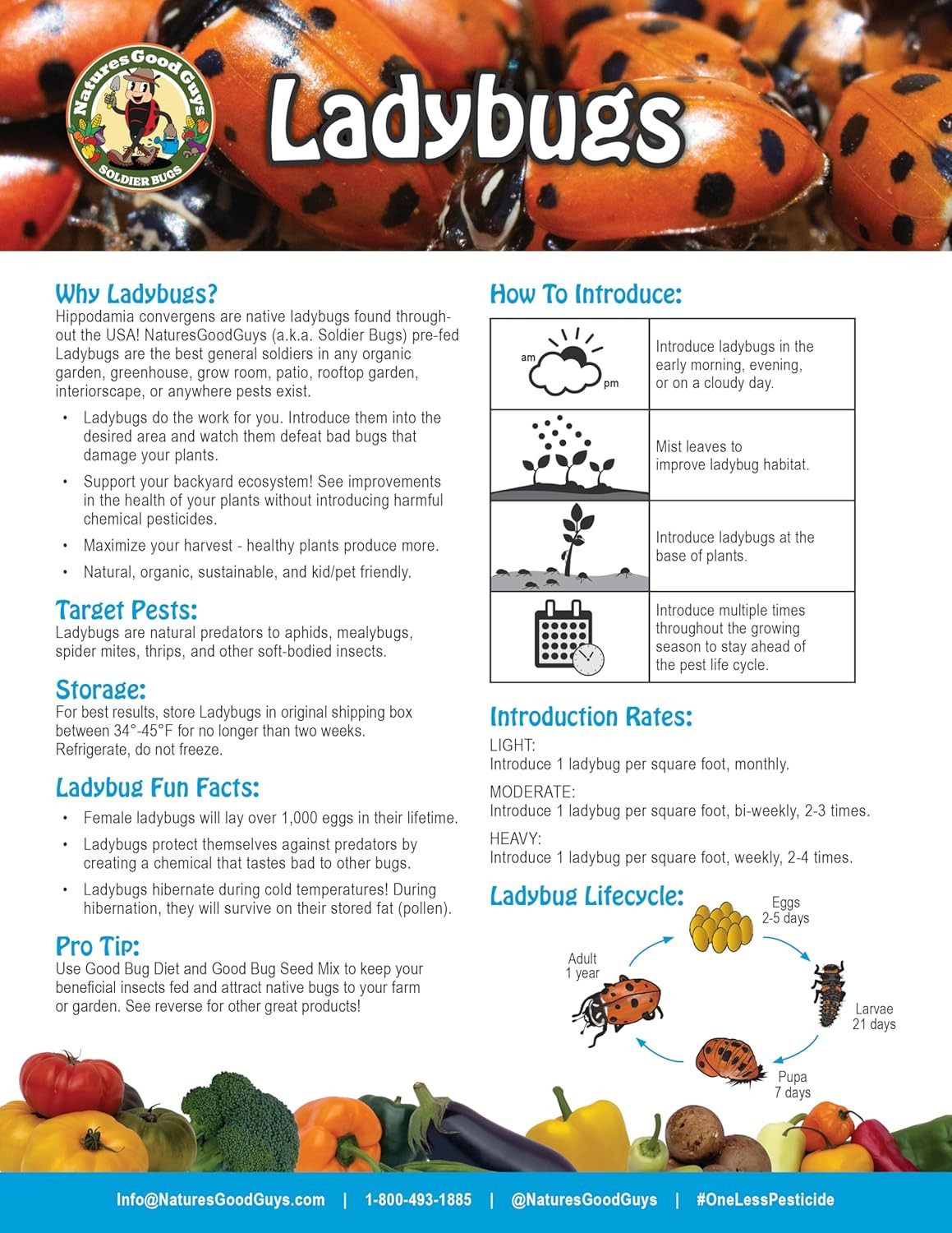 Natures Good Guys 1500 Live Ladybugs – Good Bugs- Ladybugs – Guaranteed Live Del