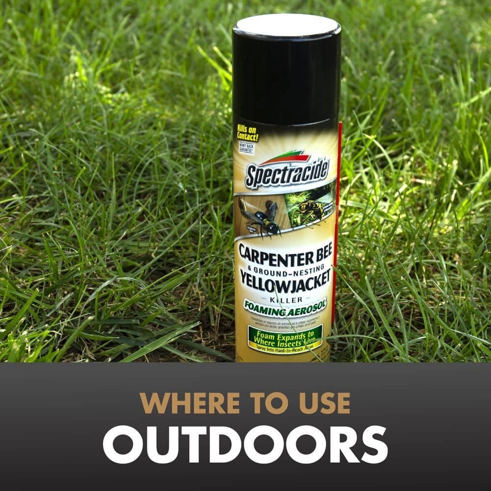 Carpenter Bee and Yellow Jacket Insect Killer 16oz Foaming Aerosol (2 Pack)