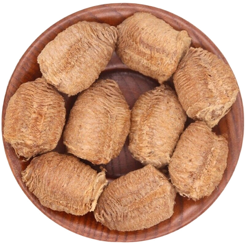 5 – Praying Mantis Egg Casings Chinese very nice size 50 to 600 per babies per