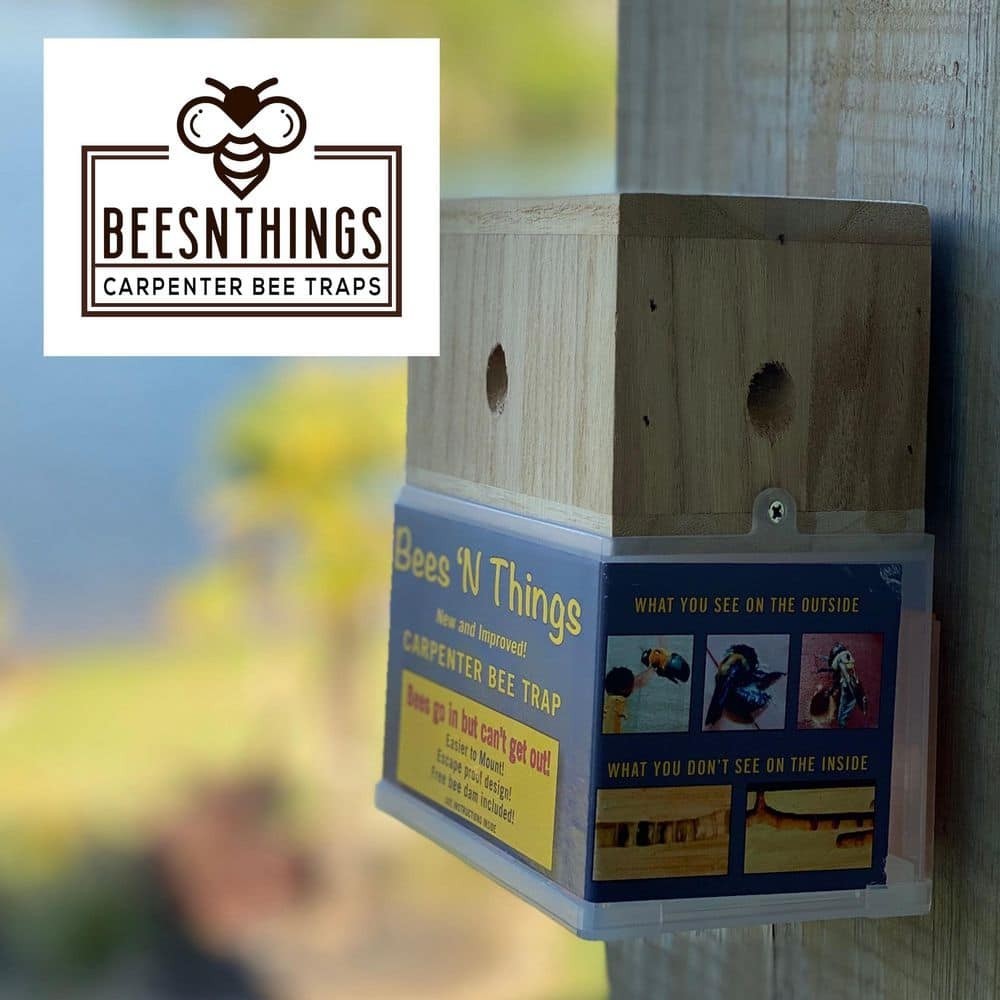Bees N Things Outdoor Carpenter Bee Hanging Insect Trap with 15 ft. Coverage