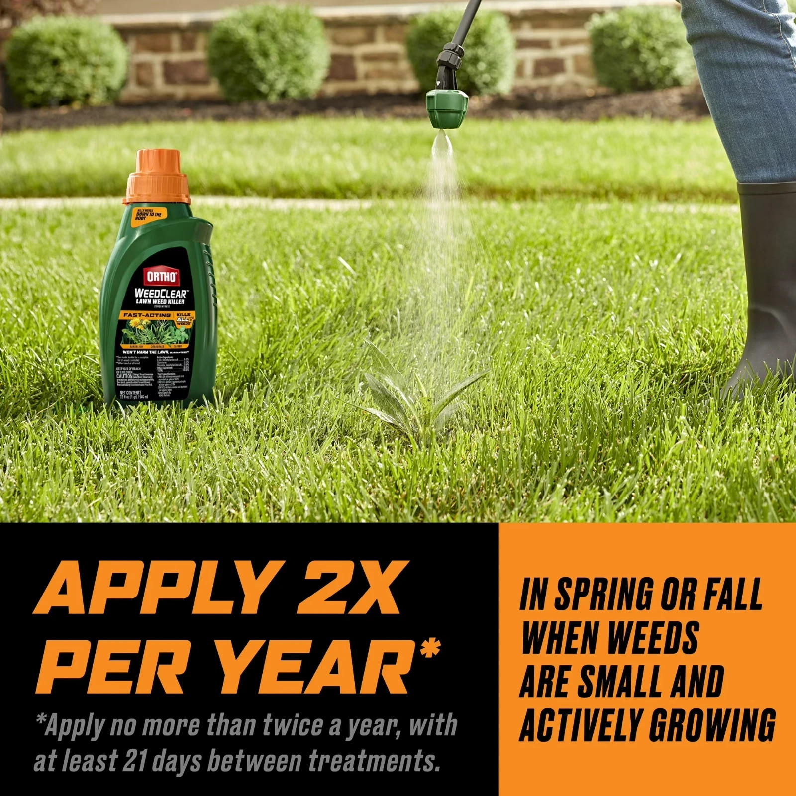 Ortho WeedClear Lawn Weed Killer Concentrate, Kills Crabgrass and Dandelion, 32