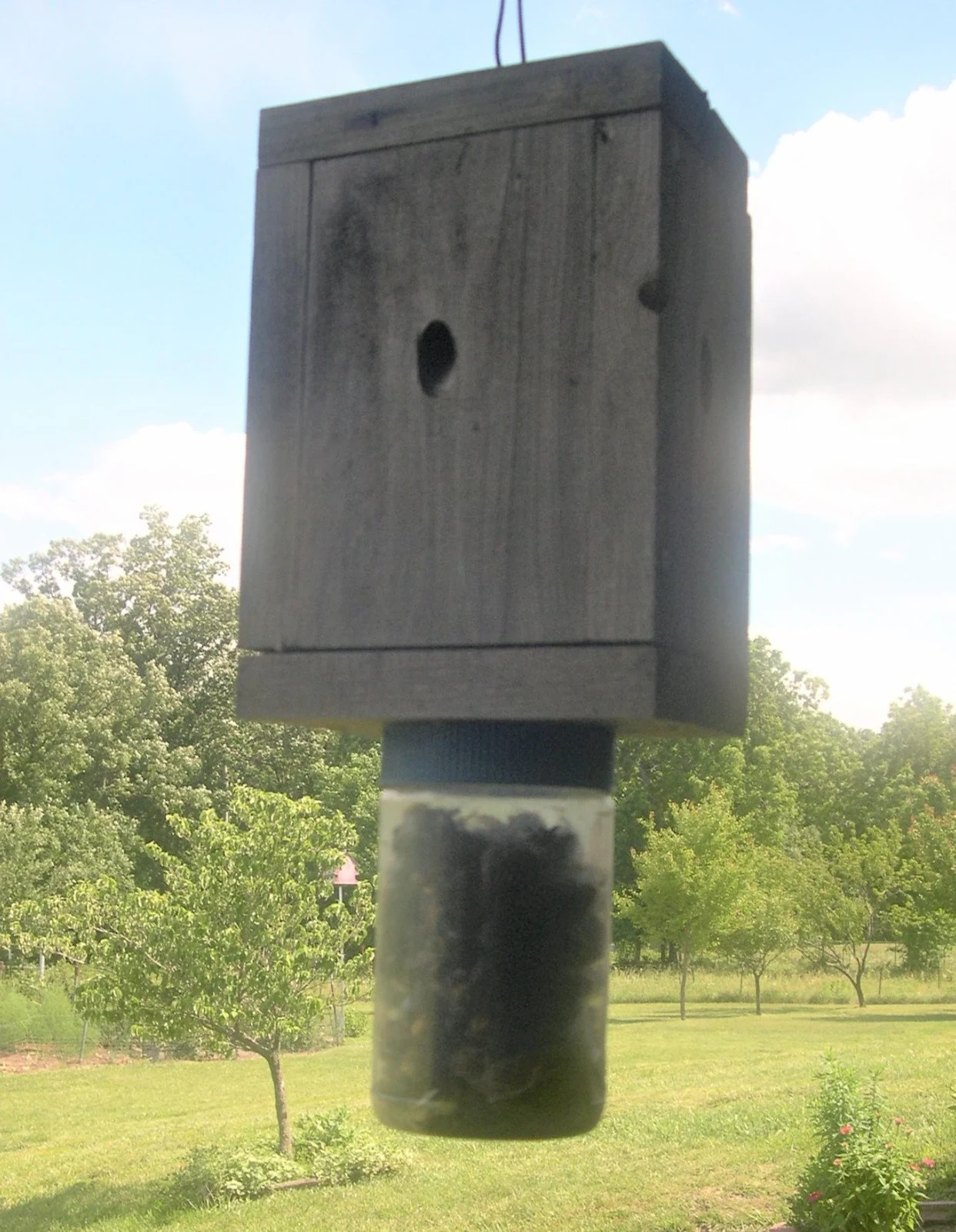 2 Carpenter Bee Trap- Easy Catch- Easy Disposal-NO CHEMICALS – ECO SAFE