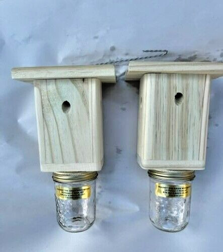 Best Carpenter Bee Trap Set Of 2 PRESSURE TREATED Handmade