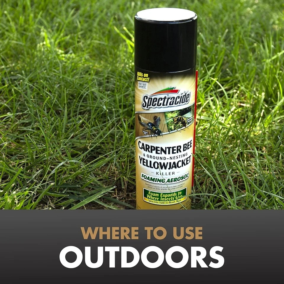 Spectracide Carpenter Bee & Nesting Yellowjacket Killer Spray 16Oz Each