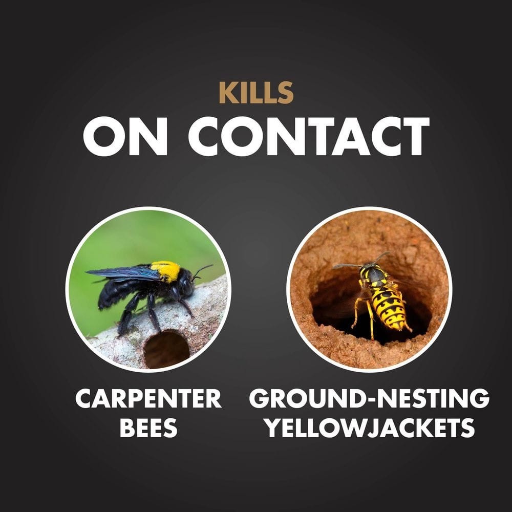 Carpenter Bee and Yellow Jacket Insect Killer 16oz Foaming Aerosol (2 Pack)