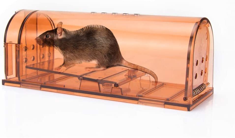 2 PACK Humane Mouse Traps Live Catch & Release No Kill Rat Mice Trap Reusable