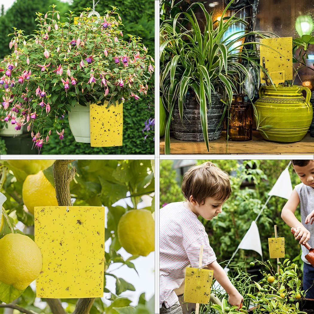 20-Pack Dual-Sided Yellow Sticky Traps for Flying Plant Insect Such as Fungus