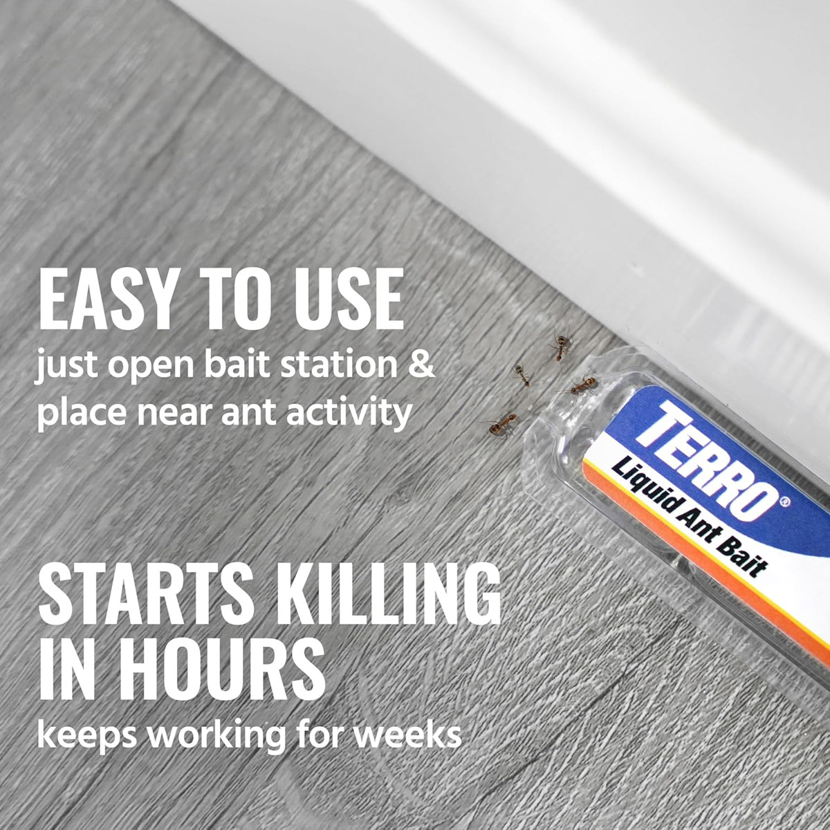 TERRO T300B Liquid Ant Killer Bait Stations 12-Pack – Indoor Ant Traps