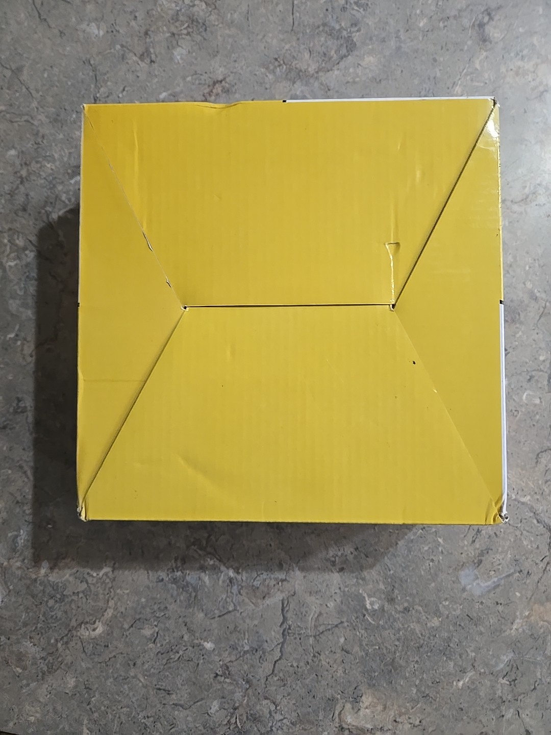 Ultimate Flea Traps Pet and Child Safe