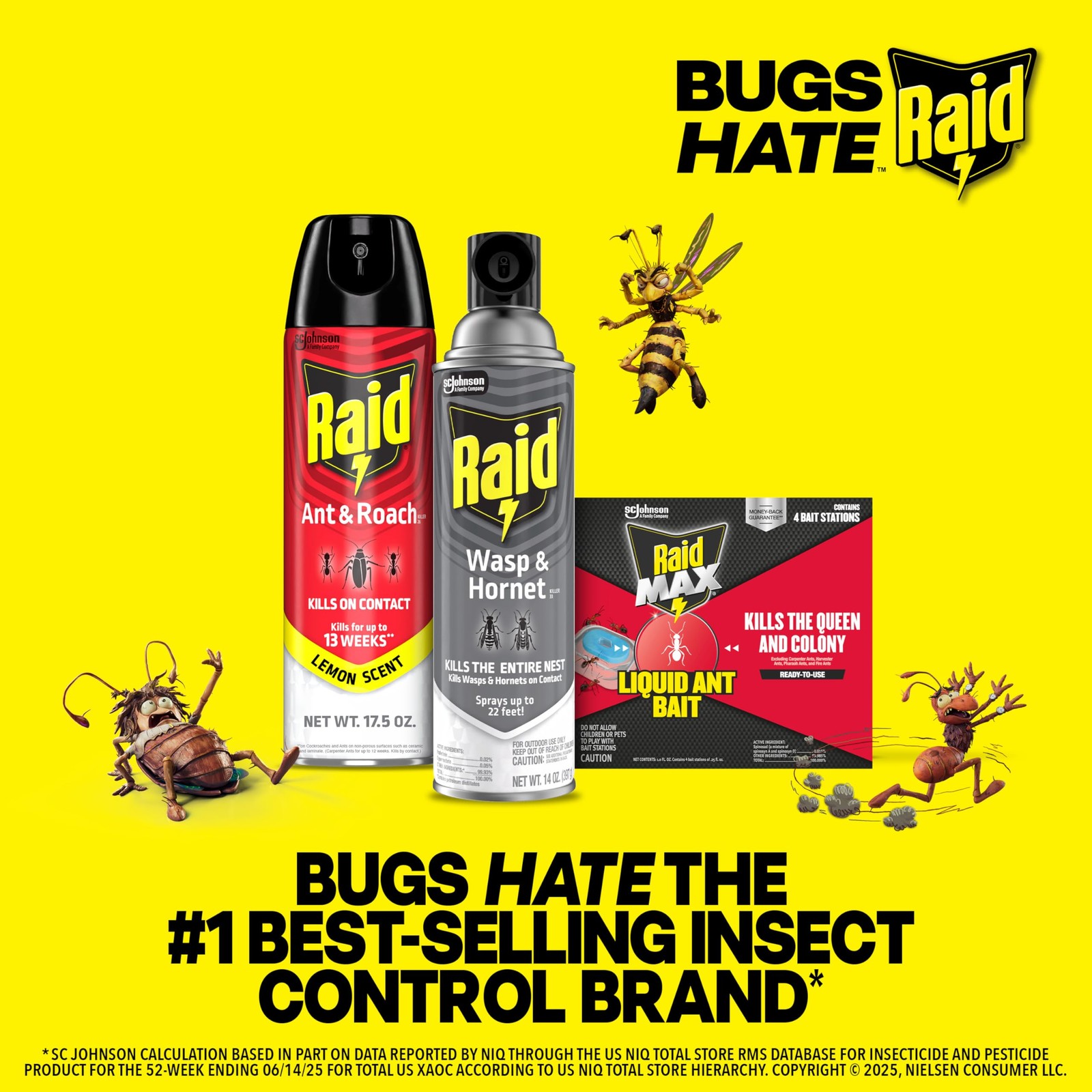 Raid Ant & Roach Killer Spray For Listed Bugs, Keeps 17.5 Fl Oz (Pack of 1)