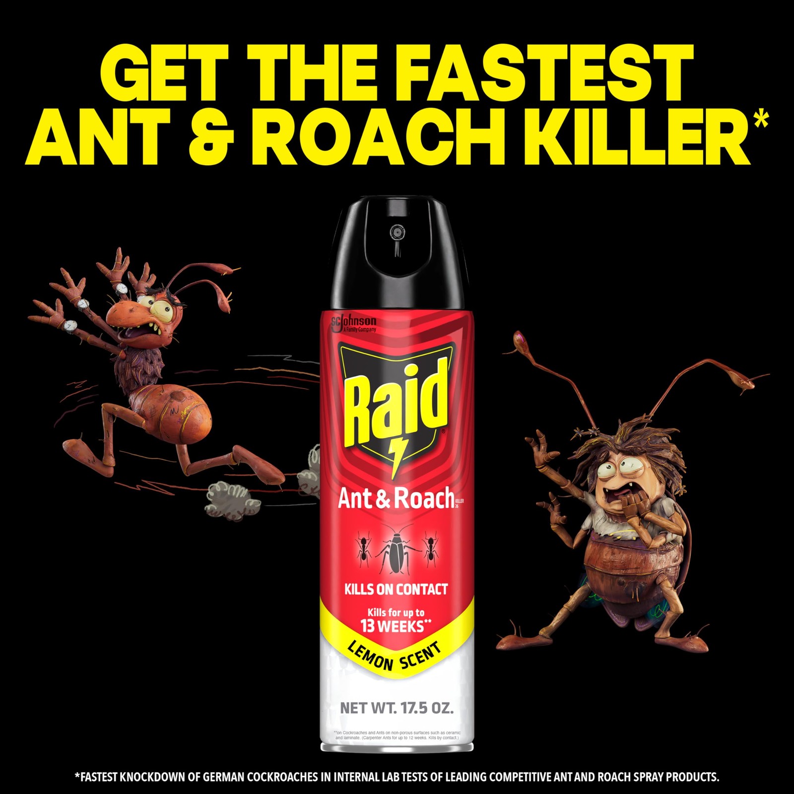 Raid Ant & Roach Killer Spray For Listed Bugs, Keeps 17.5 Fl Oz (Pack of 1)