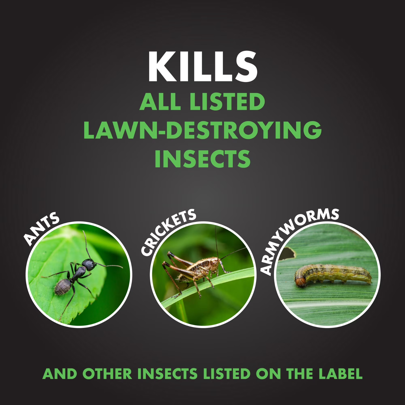 (3 Pack) Spectracide Triazicide Lawn Insect Killer Granules 20 lb (60 lb Total)