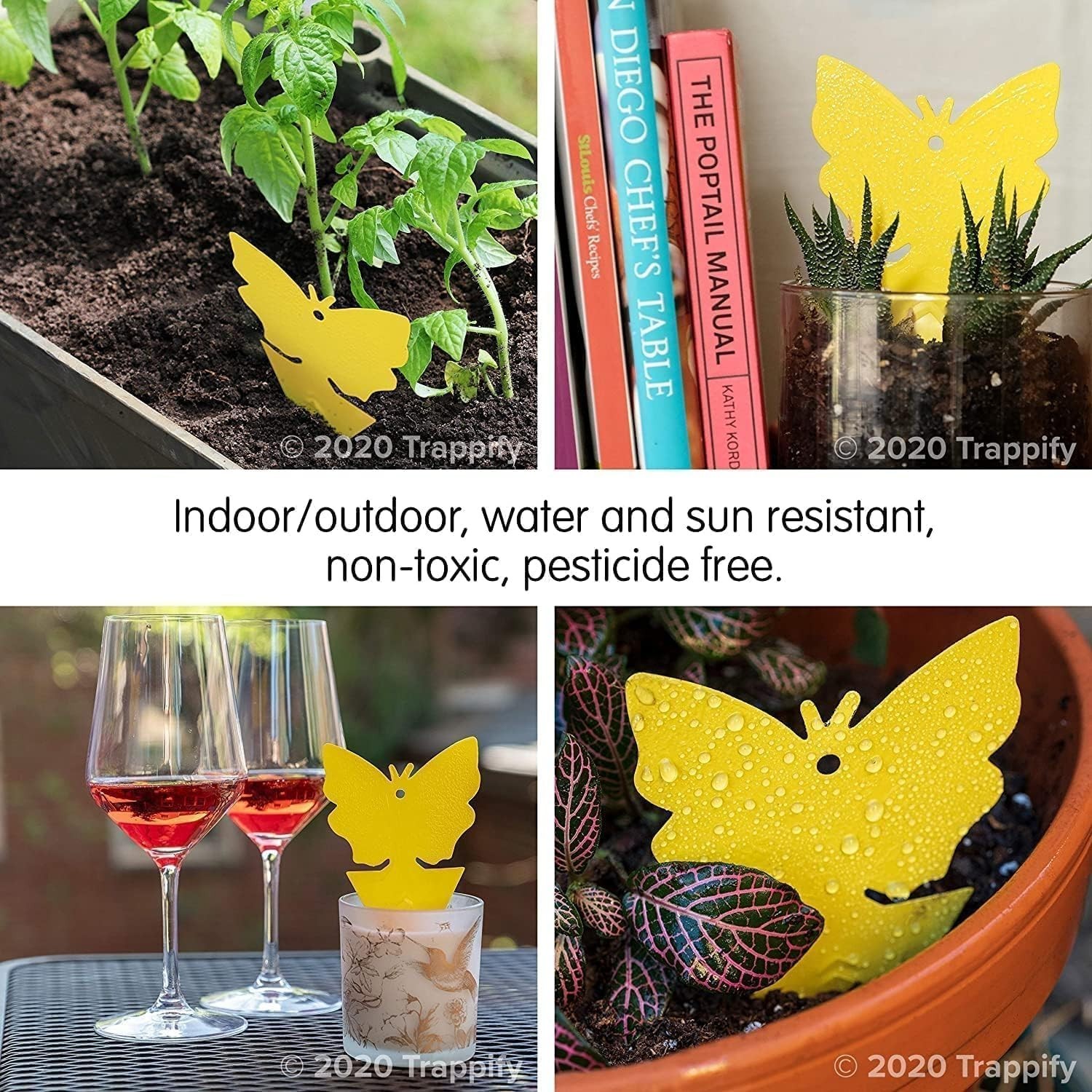 Modern Disposable Glue Fly Traps – 100 Pack for Gnat and Mosquito Control