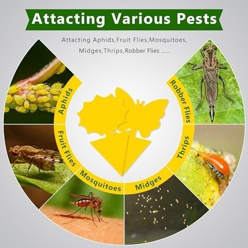 48PCS Sticky Fruit Fly Traps, Fungus Gnat Killer Trap use Indoor Outdoor