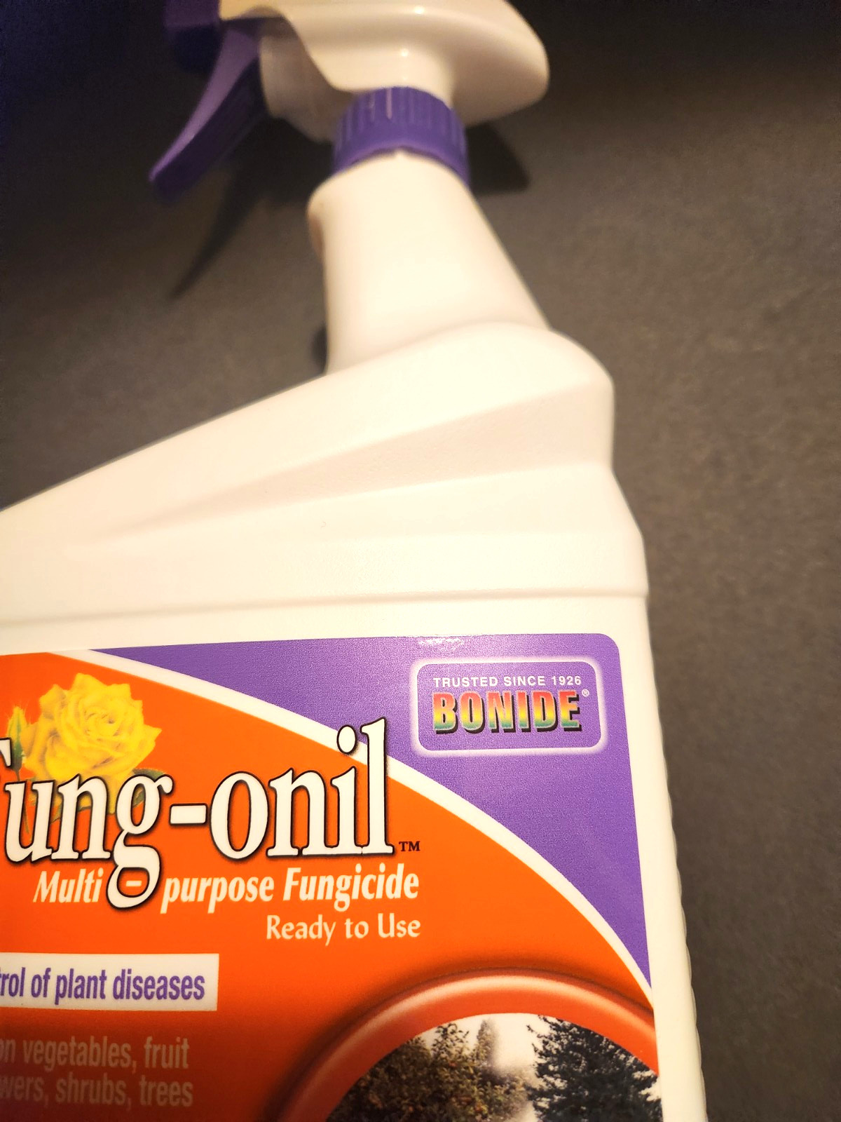 Bonide Fung-onil Fungonil 8836 32 oz Ready to Use Multi Purpose Garden Fungicide