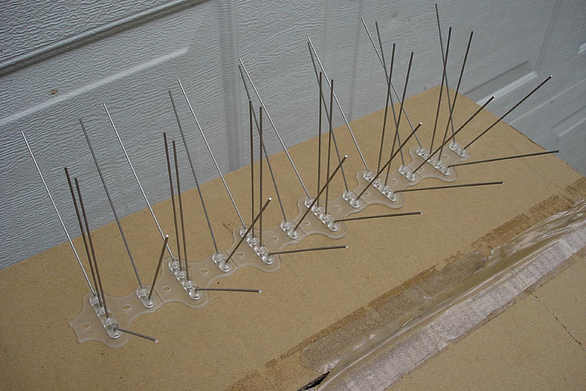 Stainless Steel Bird Spikes – New in Box – 13″ x 60 Pieces Per Box