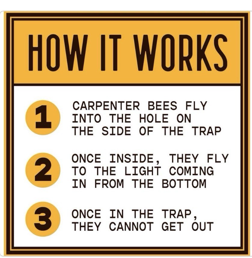 Lot of 6 x Bees N Things Outdoor Carpenter Bee Hanging Trap with 15 ft. Coverage