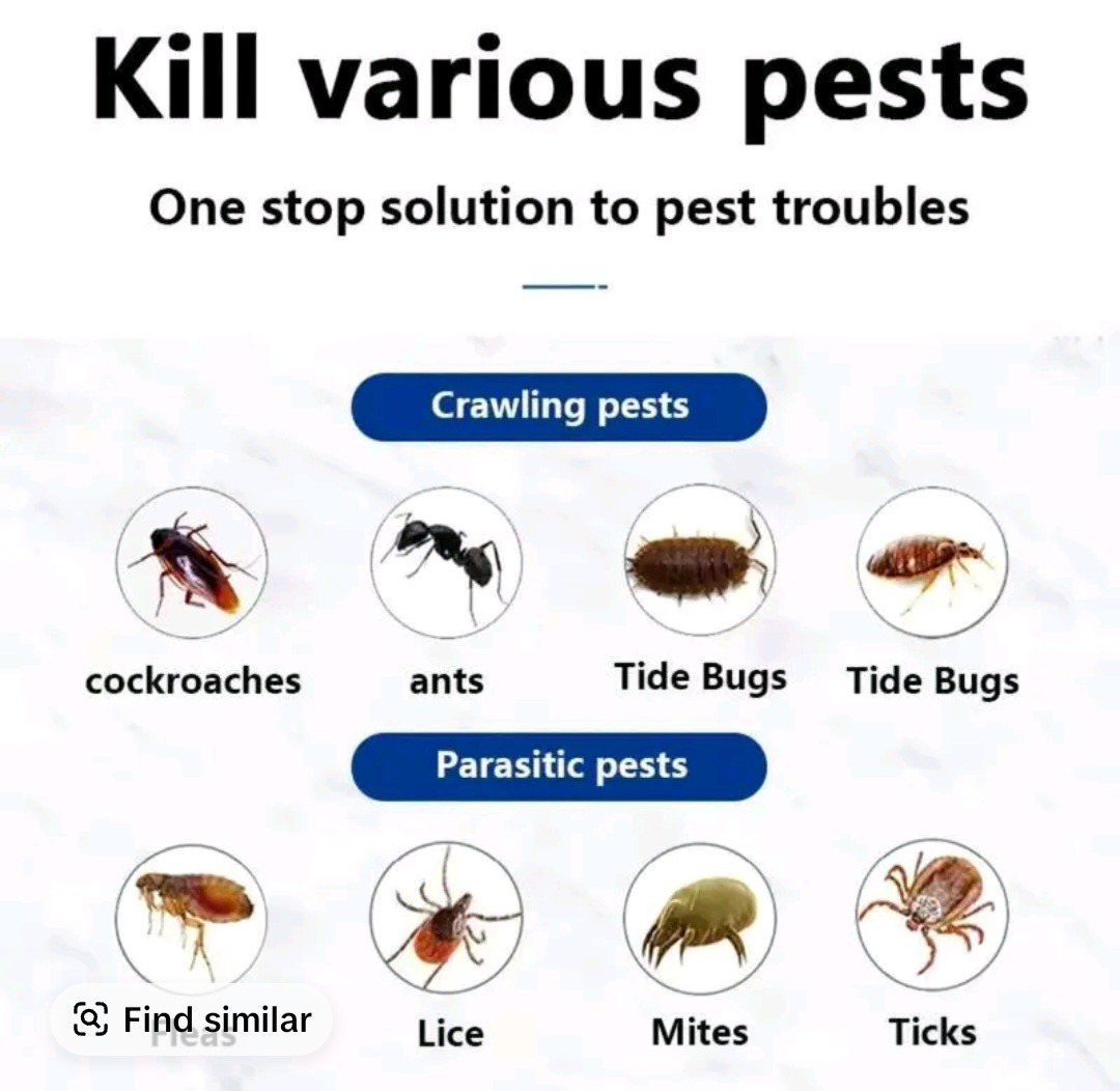 Country Vet Metered Insecticide Fly Spray 100ml Pack 2