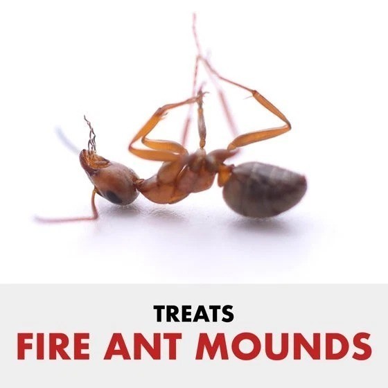 Spectracide Fire Ant Shield Mound Destroyer Granules 3.5 lb Ant Killer