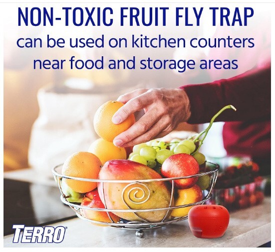 TERRO Indoor Fruit Fly Trap with Built in Window 2 Traps + 90 day Lure Supply