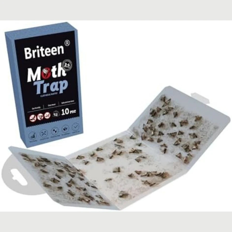 10 Pack Pantry Moth Traps Safe and Effective for Food and Clothing- Glue Traps w