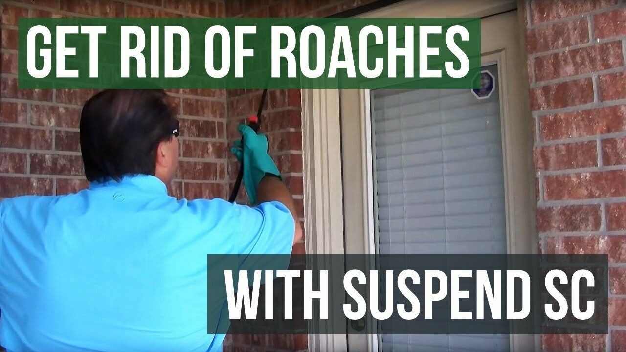 SUSPEND SC Insecticide – *KILLS Ants, bedbugs, cockroaches, fleas and many more*