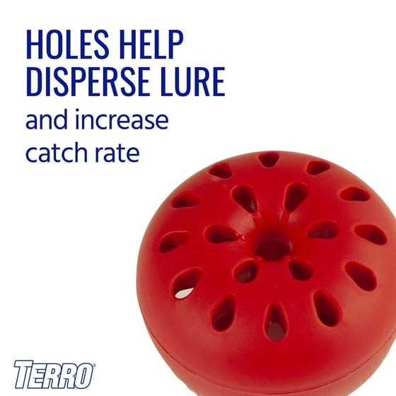 Indoor Fruit Fly Trap, (2-count) , Terro Traps, In Built With Window Sinks…