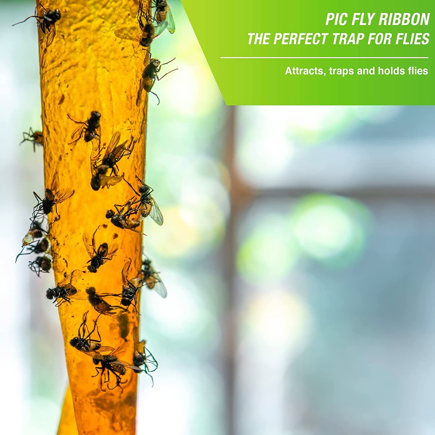 PIC*  FR10B Fly Ribbons Fruit Fly Traps For Indoors and Outdoors, Bug Trap 10pk