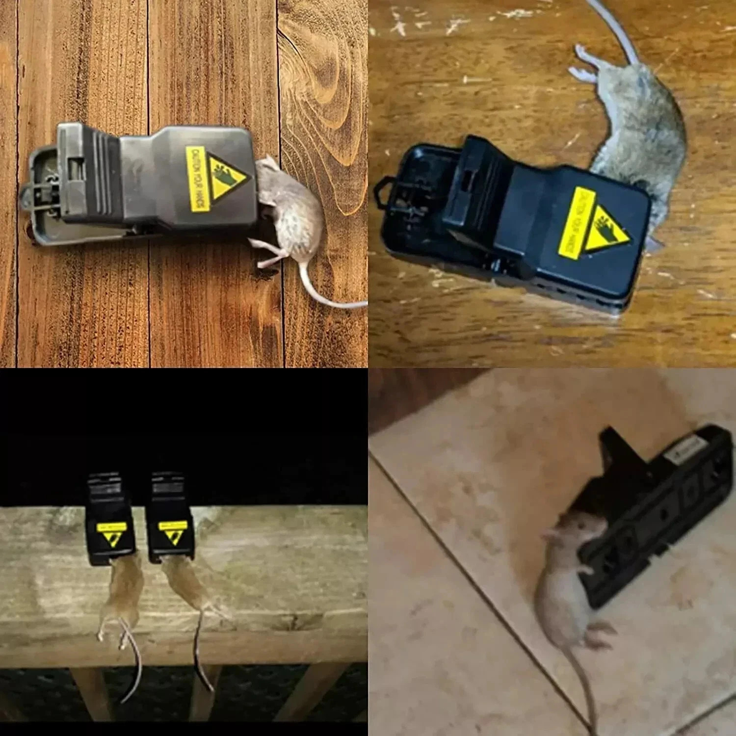 6 Pack Mouse Traps Rat Mice Killer Snap Trap Power Rodent Heavy Duty Pest Trap