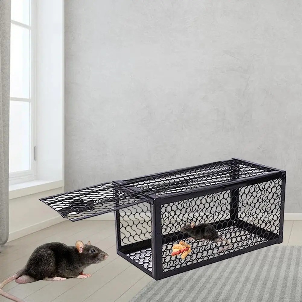 USA Mouse Trap Rat Trap Rodent Trap Live Catch Cage, Easy to Set Up and Reuse