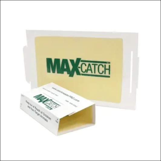 Catchmaster 72Max Glue Board Mouse Insects Trap Free shipping.